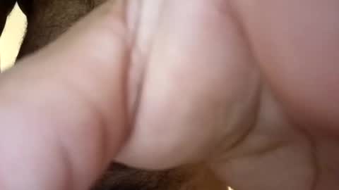 twest84 online show from November 5, 11:12 am