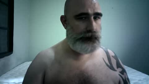 Urso1978BR online show from December 1, 4:32 pm