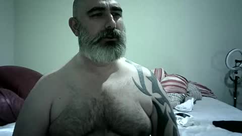 Urso1978BR online show from November 26, 6:55 pm