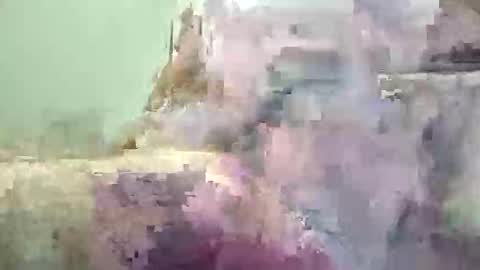 Tonight i need watchers thanks online show from December 14, 7:37 am