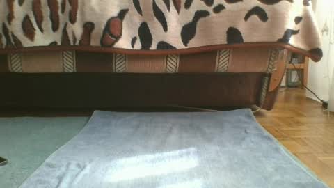 Vad dick online show from April 3, 9:17 am