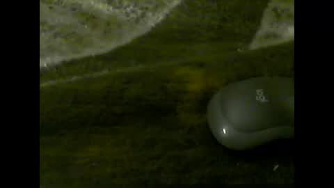 Im DanielVerdo  25 years old Lets have Fun and just ask what wanne know   tnew anal bigock cum  slave  fullnaked online show from April 9, 1:03 am