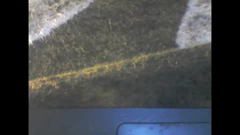 Im DanielVerdo  25 years old Lets have Fun and just ask what wanne know   tnew anal bigock cum  slave  fullnaked online show from April 9, 6:19 am