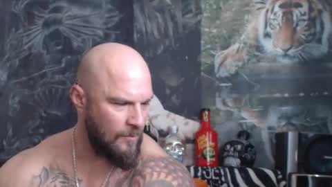 viking online show from April 11, 10:30 am