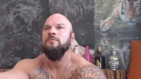 viking online show from November 2, 10:30 am