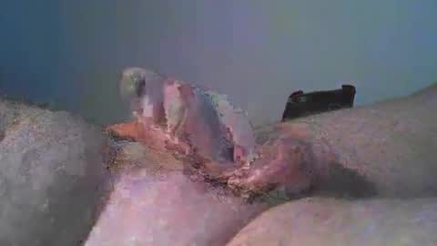 Snapshot of vukavuka99 chatting on December 29, 3:24 pm vukavuka99 online show from December 29, 3:24 pm