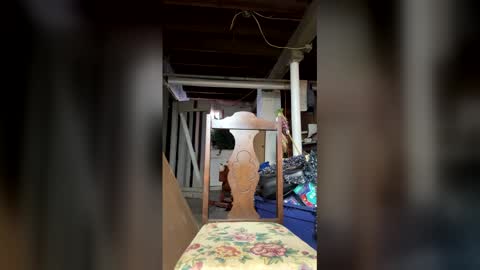 Walter online show from February 7, 7:30 pm