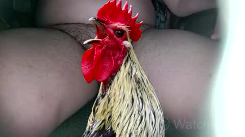 classified online show from November 2, 7:40 pm