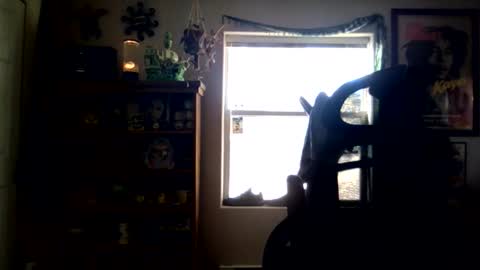 waterfire420 online show from February 27, 11:58 pm