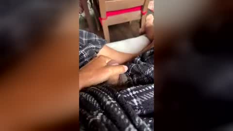 Zippy online show from June 15, 12:08 pm