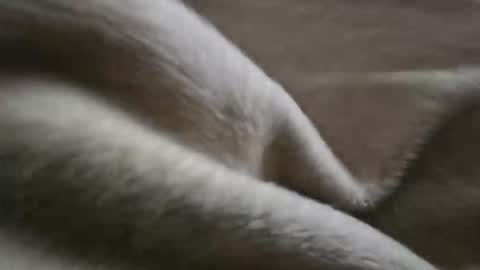 Snapshot of what_whaaat chatting on November 2, 5:12 am what_whaaat online show from November 2, 5:12 am