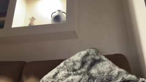 Jasper online show from November 25, 7:38 pm