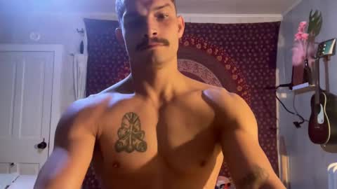 Wolfblazer online show from February 10, 10:53 am