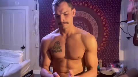 Wolfblazer online show from February 11, 10:26 am