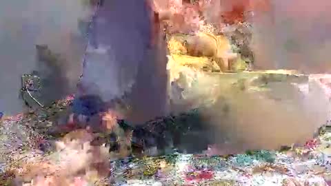 wolf boy online show from December 31, 1:26 am