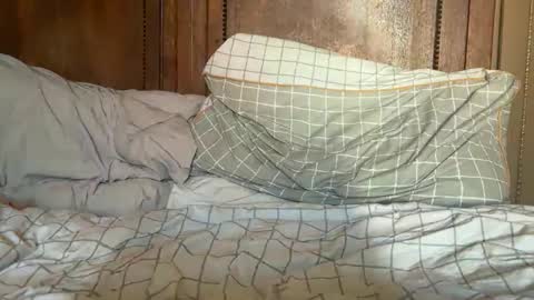 wonkywillywanks online show from March 17, 3:25 pm