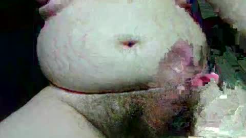 wooltv1 online show from October 11, 2:26 am