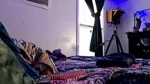 wowsers7 online show from November 11, 7:19 pm