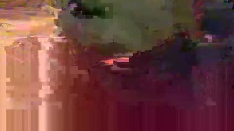 yangolox3 online show from February 15, 5:46 am