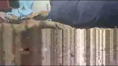 yangolox3 online show from March 9, 11:54 pm