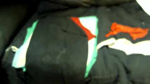 .     y e l l o w s n a k e s       . online show from December 16, 9:57 am