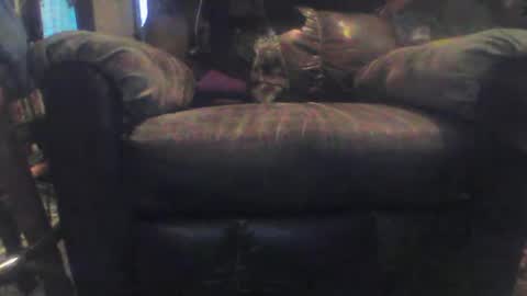 BABY online show from December 31, 8:23 pm