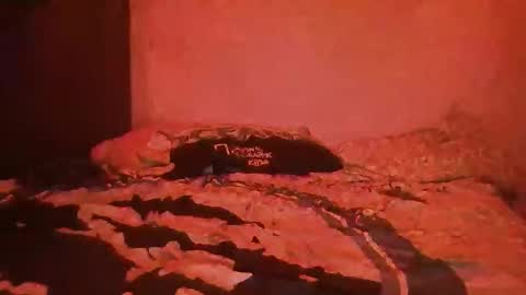 yeshuaaa999 online show from November 26, 8:39 am