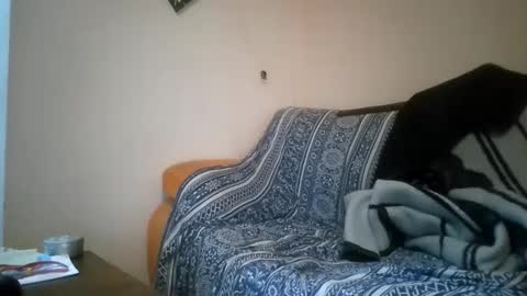 dor online show from March 7, 8:33 pm