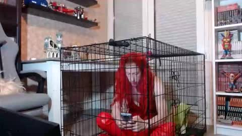 Owned by Hell On Heels online show from February 20, 8:21 pm