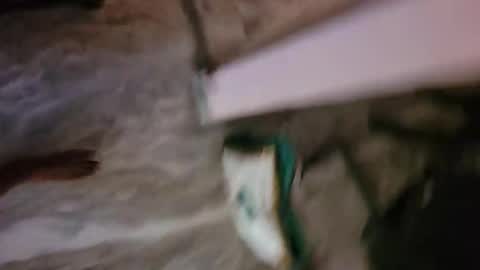 Naughty Santa online show from March 15, 3:47 am