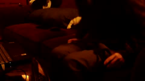 ytsim58 online show from February 8, 1:48 pm