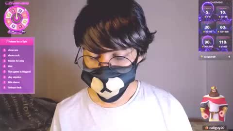 the puppy boy online show from January 14, 3:44 am