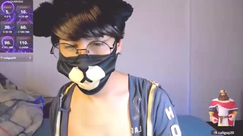 the puppy boy online show from October 22, 3:54 am