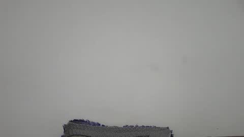 zes6363 online show from March 31, 5:47 pm