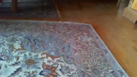 zevioo77 online show from March 31, 12:51 pm