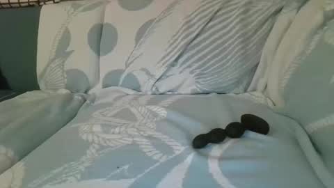 Snapshot of zugi88 chatting on December 12, 7:15 pm zugi88 online show from December 12, 7:15 pm