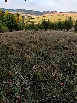 Nishu12356g online show from September 8, 4:06 pm