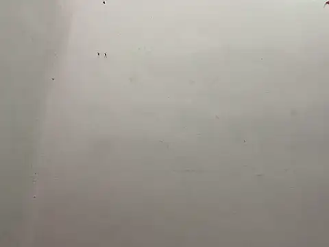 CALVINXXX online show from February 21, 9:43 pm