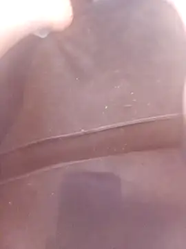 Cocotempo online show from October 2, 9:13 am