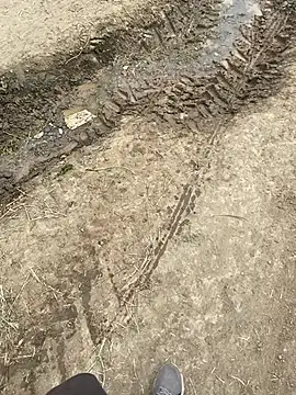 parabellumm online show from April 17, 1:58 pm