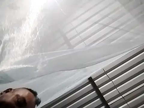 wili 203 online show from November 8, 2:26 am