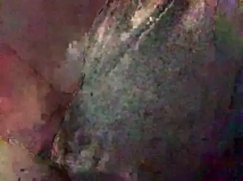 Nodsride online show from February 7, 12:56 pm