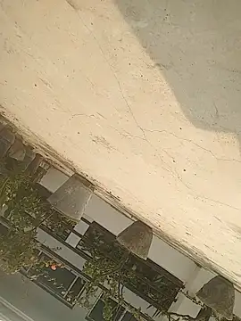 Mafiya1604 online show from November 17, 4:59 am