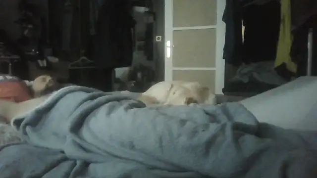 Prehistorixxx2686 online show from March 3, 9:17 am