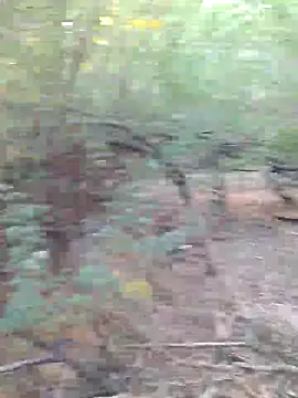 Ajith mvi online show from March 29, 2:44 am