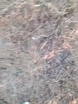 Ajith mvi online show from April 6, 12:06 pm