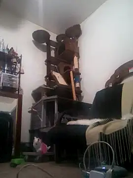 LongDickZee562 online show from February 27, 4:09 am