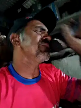 Sergipano fogozinho online show from April 3, 1:35 am