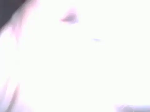 BobbyQ29 online show from April 25, 12:24 am