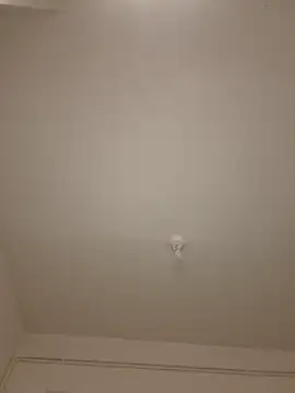 wedge75 online show from April 22, 12:10 pm